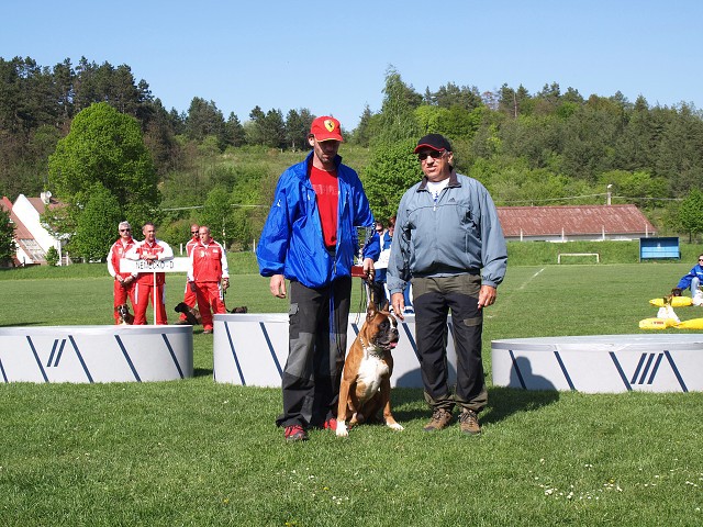 www.atibox.net * www.euroboxer.eu * www.boxergenealogia.eu
